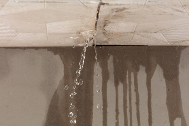 Professional Water Damage Repair technician working in Lebec, CA